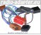 Porsche Aktivsystemadapter 996 Boxter nicht f�r Bose Systeme