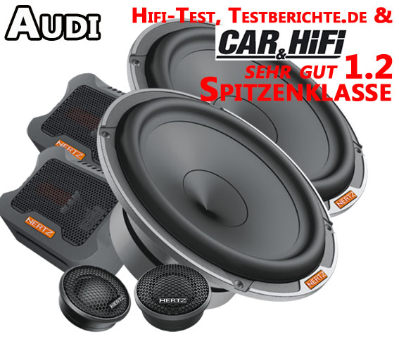 Audi Q3 8U Lautsprecher für beide Türen vorne Spitzenklasse MPK165.3